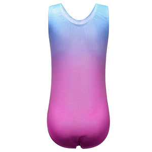 back of leotard ombre pink and blue